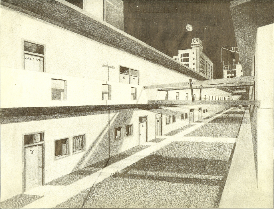 perspective study