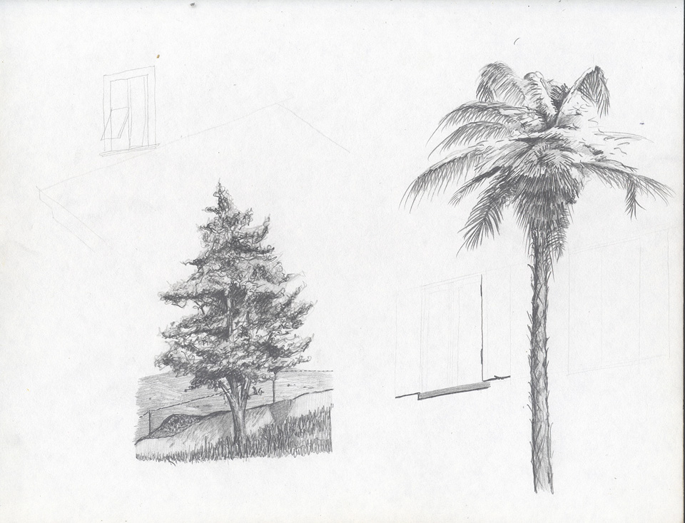 Tree Studies in Pencil