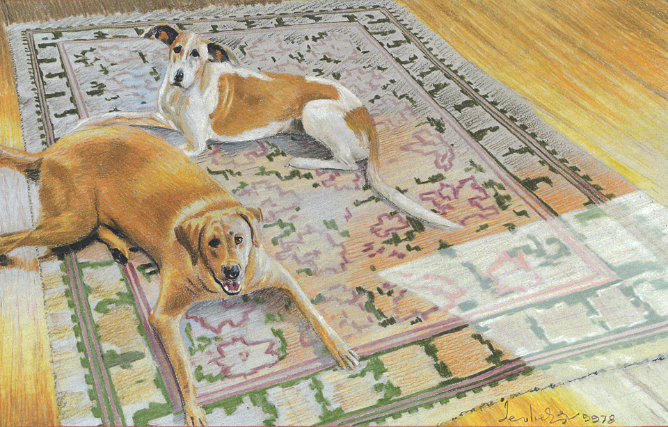 Jimla Azitrice Dog Portrait Abby and Sasha