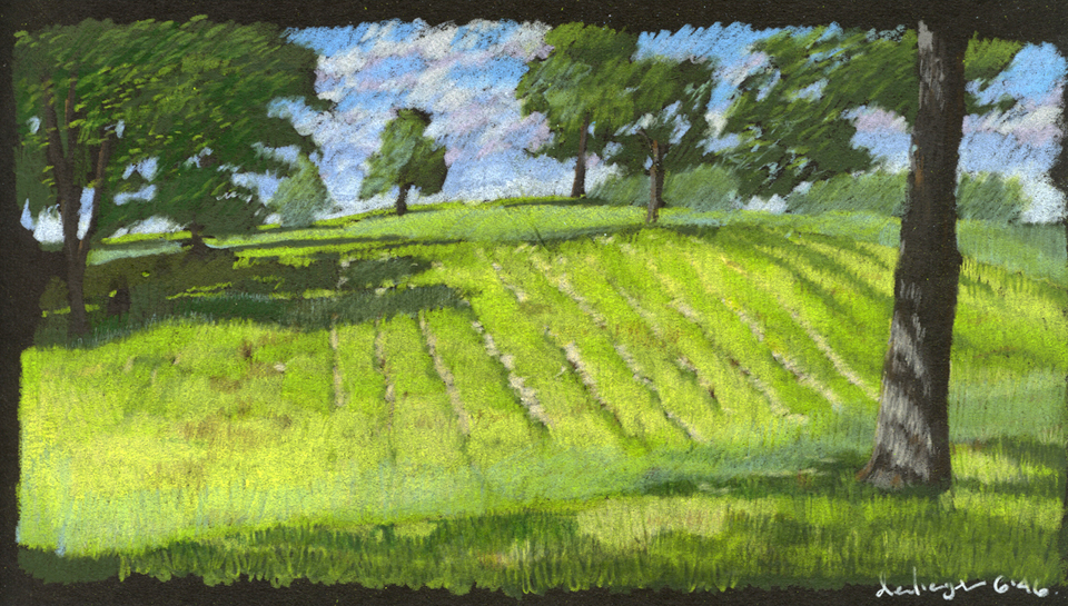 Francis Park Spring Study 2
