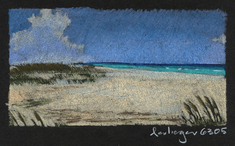 Beach Study 1