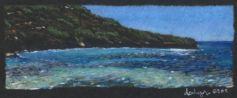 Waikiki Study
